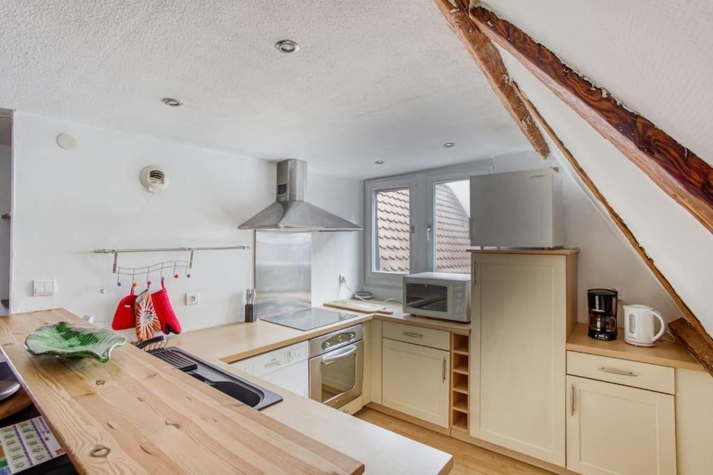 Le Cocon Alsacien Apartment Strasbourg Exterior photo